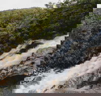 Davies Creek National Park and Dinden National Park - Accommodation Brunswick Heads