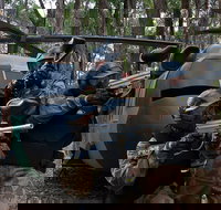 Delta Force Paintball Appin - Accommodation Brunswick Heads