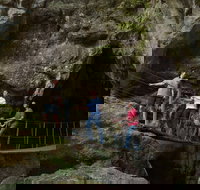 Dig the Tropic - Accommodation Brunswick Heads