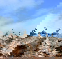 Dirk Hartog Island National Park - Accommodation Brunswick Heads