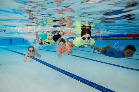 East Maitland Aquatic Centre - Accommodation Brunswick Heads 1