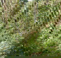 Gap Beach Walking Track - Accommodation Brunswick Heads