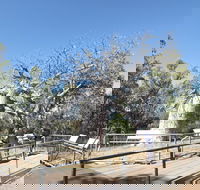 Gregory's Tree Timber Creek - Accommodation Brunswick Heads