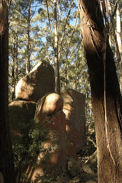 Gulaga National Park - Accommodation Brunswick Heads 0