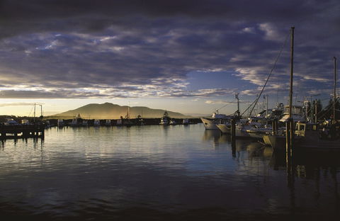Gulaga National Park - Accommodation Brunswick Heads 1