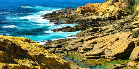 Gumnut Hideaway Gallery - Accommodation Brunswick Heads 2