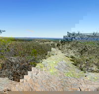 Hale Conservation Park - Accommodation Brunswick Heads