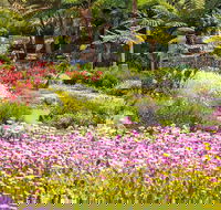 Jurassic Garden AR Experience - Accommodation Brunswick Heads