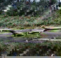 Kayaking Upper Tuross River and Bumbo Lake - Accommodation Brunswick Heads