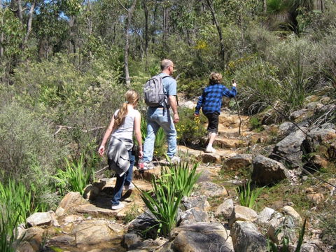 Kitty's Gorge, Serpentine National Park - Accommodation Brunswick Heads 0