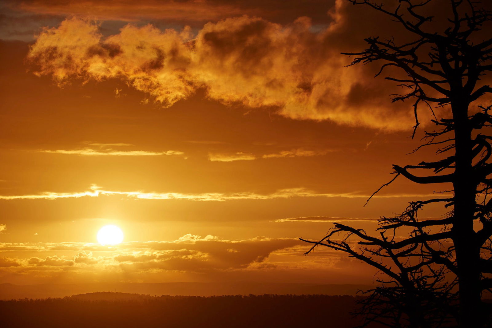 Kinglake Central VIC Accommodation Brunswick Heads