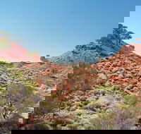 Lark Quarry Conservation Park - Accommodation Brunswick Heads