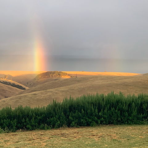 Lessismore Farm Afternoon Farmer - Accommodation Brunswick Heads 1