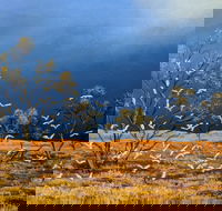 Lyn Barnes Gallery - Accommodation Brunswick Heads