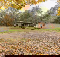 Major Clews Hut Walking Track - Accommodation Brunswick Heads