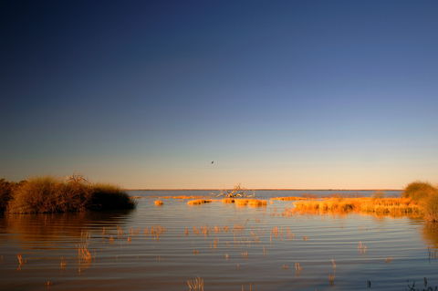 Malkumba-Coongie Lakes National Park - Accommodation Brunswick Heads 0