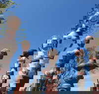 Mansfield Arts Walk - Accommodation Brunswick Heads