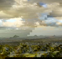 Mary Cairncross Scenic Reserve Rainforest Walk - Accommodation Brunswick Heads