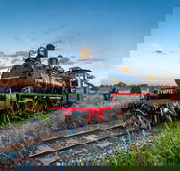 Mary Valley Rattler - Accommodation Brunswick Heads