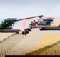 Mullaley - Accommodation Brunswick Heads