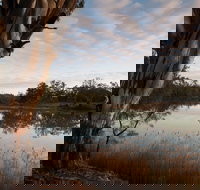 Murray-Kulkyne Regional Park - Accommodation Brunswick Heads