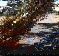 Murchison Rail Trail - Accommodation Brunswick Heads