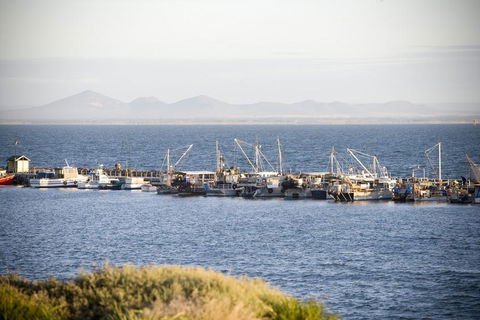 Portarlington - Accommodation Brunswick Heads 0