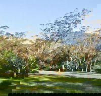 Red Cedar Flat Picnic Area - Accommodation Brunswick Heads