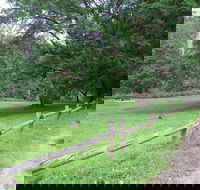 St Albans Reserve - Accommodation Brunswick Heads