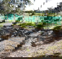 Tactical Paintball Games - Accommodation Brunswick Heads