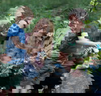 Tamworth Marsupial Park and Adventure Playground - Accommodation Brunswick Heads