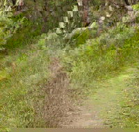 Three Views walking track - Accommodation Brunswick Heads