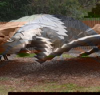 Underwater Marine Sculptures - Accommodation Brunswick Heads