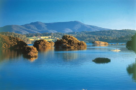 Wagonga Picnic Area - Accommodation Brunswick Heads 0