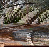 Warrego Floodplain walking track - Accommodation Brunswick Heads
