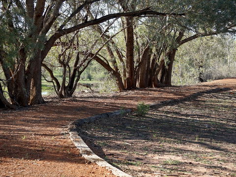 Warrego Floodplain Walking Track - Accommodation Brunswick Heads 0