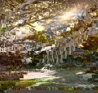 Wendy Whiteley's Secret Garden - Accommodation Brunswick Heads