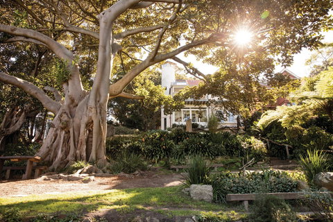 Wendy Whiteley's Secret Garden - Accommodation Brunswick Heads 0