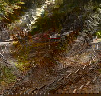 West Coast - Accommodation Brunswick Heads