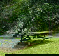 Williams River picnic area - Accommodation Brunswick Heads