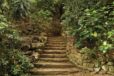 William Ricketts Sanctuary - Accommodation Brunswick Heads 1
