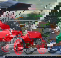 Wonders of Wynyard  Exhibition and Visitor Information Centre - Accommodation Brunswick Heads