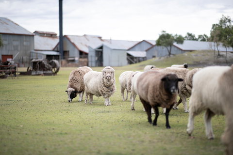 14 Day Gems Of The Outback - Accommodation Brunswick Heads 2