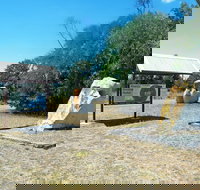 150th Meridian - Accommodation Brunswick Heads