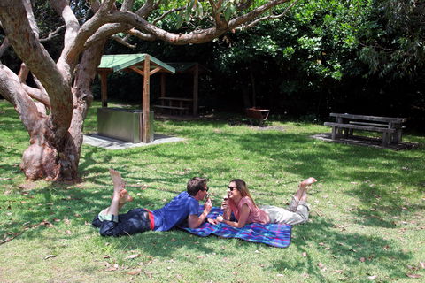Abrahams Bosom Reserve - Accommodation Brunswick Heads 1