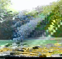 Airlie Beach to Cedar Creek Falls - Accommodation Brunswick Heads