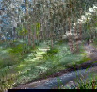 Anabranch Loop Track - Accommodation Brunswick Heads