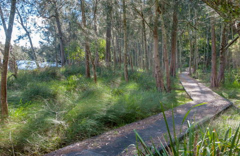 Anabranch Loop Track - Accommodation Brunswick Heads 0