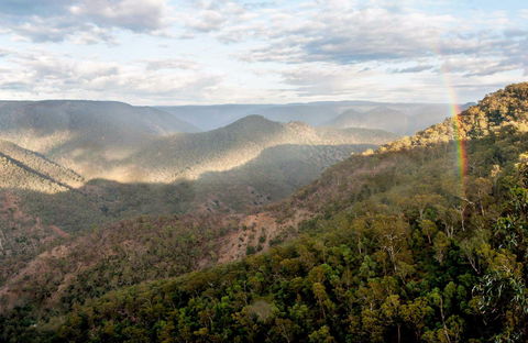 Badgerys Spur Walking Track - Accommodation Brunswick Heads 0