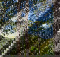 Basin Loop Track - Accommodation Brunswick Heads